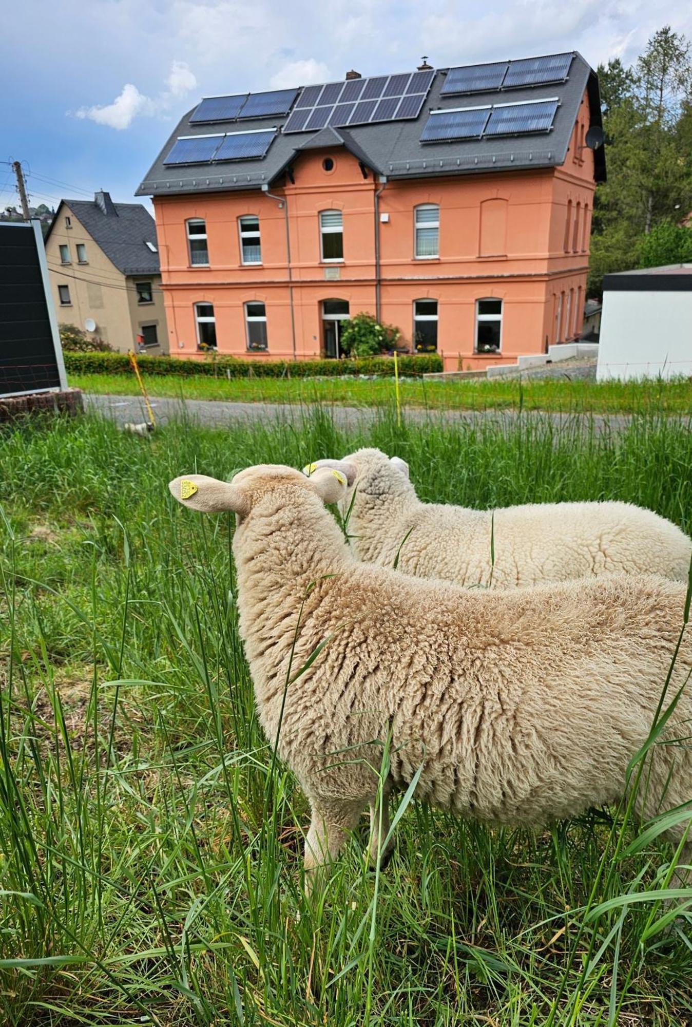 Ferienwohnung Ost - Alte Schule Sachswitz Greiz Eksteriør bilde